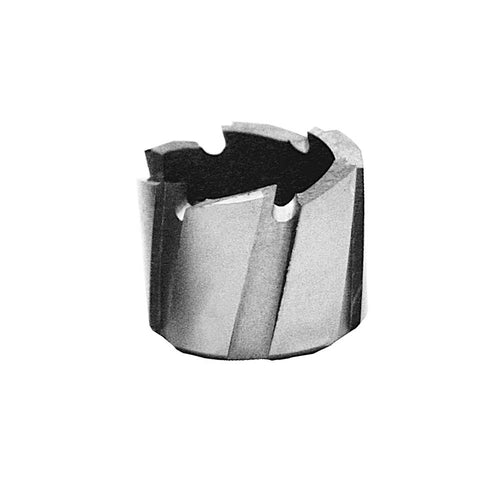 Evolution Power Tools Evolution 3/4 in. Width x 1/4 in. Depth Annular Cutter