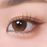 EyeCandys Bausch & Lomb Lacelle Iconic Aurora Brown (30pk), view 5
