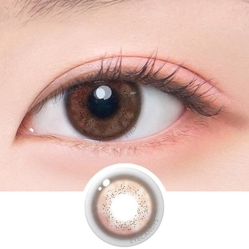 EyeCandys DooNoon Jinju Shell 1-Day Brown (10pk)