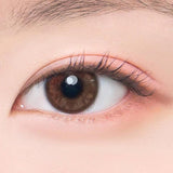 EyeCandys DooNoon Jinju Shell 1-Day Brown (10pk), view 2