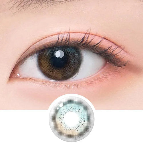 EyeCandys DooNoon Jinju Shell 1-Day Grey (10pk)