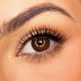 EyeCandys Pink Label Pointe Choco, view 5