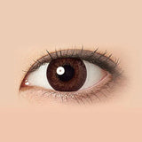 EyeCandys Freshlook Illuminate 1-Day (30pk) Rich Brown, view 3