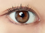 EyeCandys Freshlook Illuminate 1-Day (30pk) Rich Brown, view 4