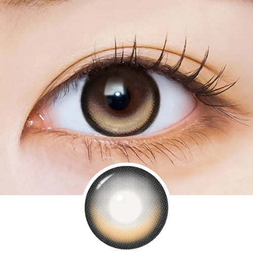 EyeCandys i-Sha Dekame Kiss Me 1-Day Yuzu Boom Brown (10pk)