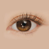 EyeCandys i-Sha Oriana Edge Plus Shade Brown, view 3