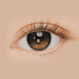 EyeCandys i-Sha Oriana Edge Plus Shade Grey, view 3