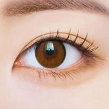 EyeCandys i-Sha Oriana Fit Royal Brown, view 2