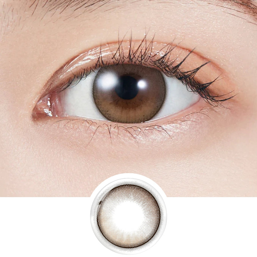 EyeCandys Molak 1-Day Dollish Brown (10pk)