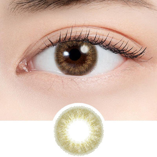 EyeCandys N's Collection Hojicha Latte Brown (10pk)