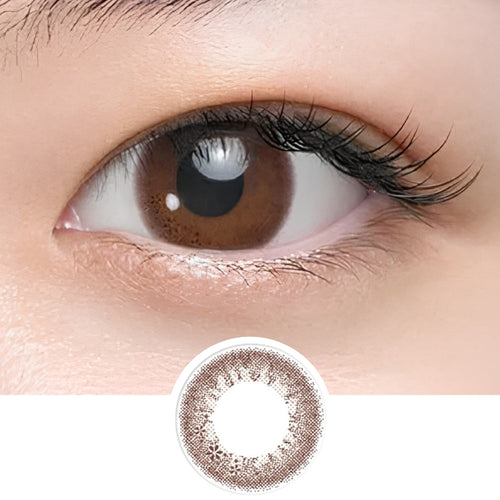EyeCandys Seed Coffret Sweetie Make Brown (10pk)