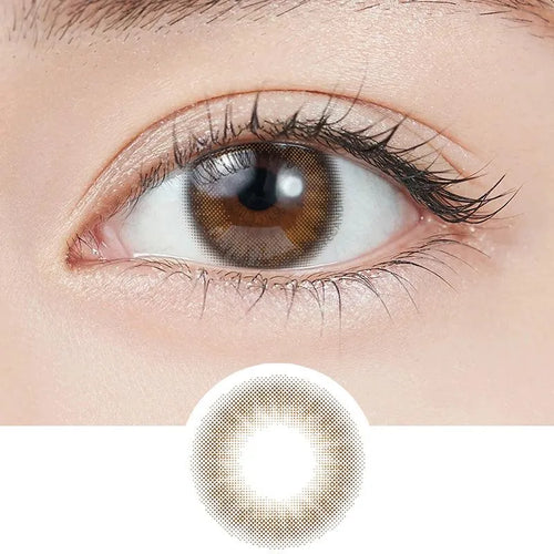 EyeCandys Topards 1-Day Garnet Brown (10pk)
