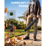 Fanttik BF10 Pro Cordless Leaf Blower, view 2
