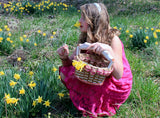 Foxcreek Baskets Round, Oval , and Square Baskets-Shabby Chic Collection, view 2