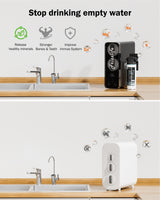 Frizzlife 1000GPD Reverse Osmosis Water Filter, NSF/ASNI 58&372 Standard, Alkaline Mineral pH+ Reverse Osmosis, 9-Stage Filtration Tankless RO, 2:1 Pure to Drain, Under Sink, Smart Faucet, PD1000-N, view 3