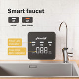 Frizzlife PD1200 RO System with an Extra TWO-Year Filter Combo, view 6