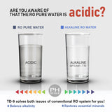 Frizzlife Reverse Osmosis Alkaline Remineralization Inline Post Filter, TD-9, view 3