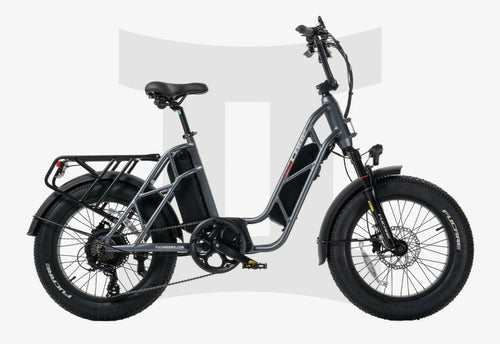Fucare Bike Fucare Gemini Step-Thru Electric Cargo Bike
