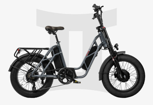 Fucare Bike Fucare Gemini Sport Dual Motor Step Thru Ebike