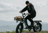 Fucare Bike Fucare Libra Full Suspension Electric Bike, view 5