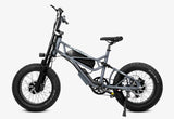 Fucare Bike Fucare Scorpio Sport Dual Motor Full Suspension Ebike, view 6