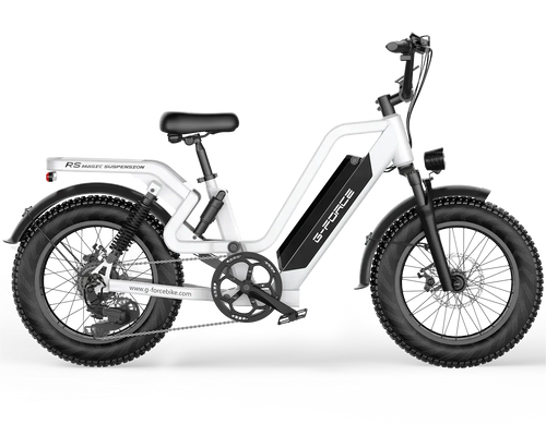 G-FORCE RS / RS ST Battery