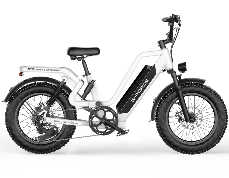 G-FORCE RS / RS ST Battery