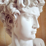 Galartsy David Head Michelangelo Statue, view 4