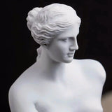 Galartsy Venus de Milo Statue, view 3