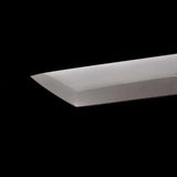 GELSHADOW Warlord Tactical Tang Blade(US ONLY)-GS66, view 3