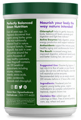 Green Foods Organic Green Magma, view 3