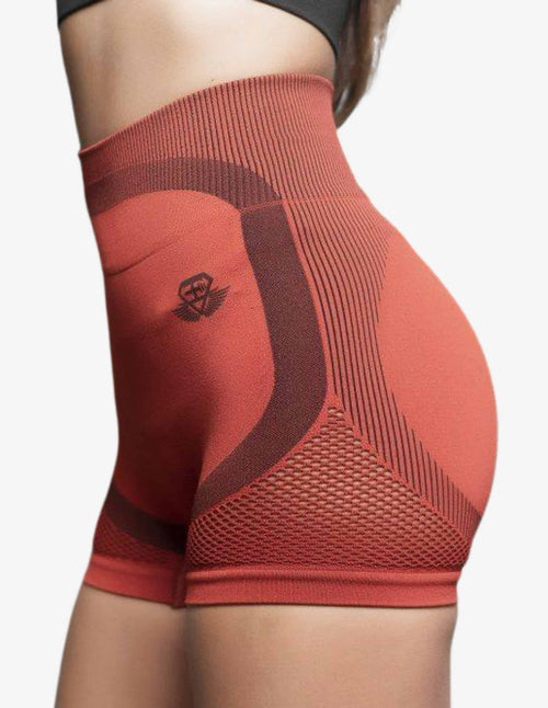 Guru Muscle Aurora High Waist Seamless Shorts – Terra Rose