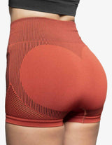 Guru Muscle Aurora High Waist Seamless Shorts – Terra Rose, view 2