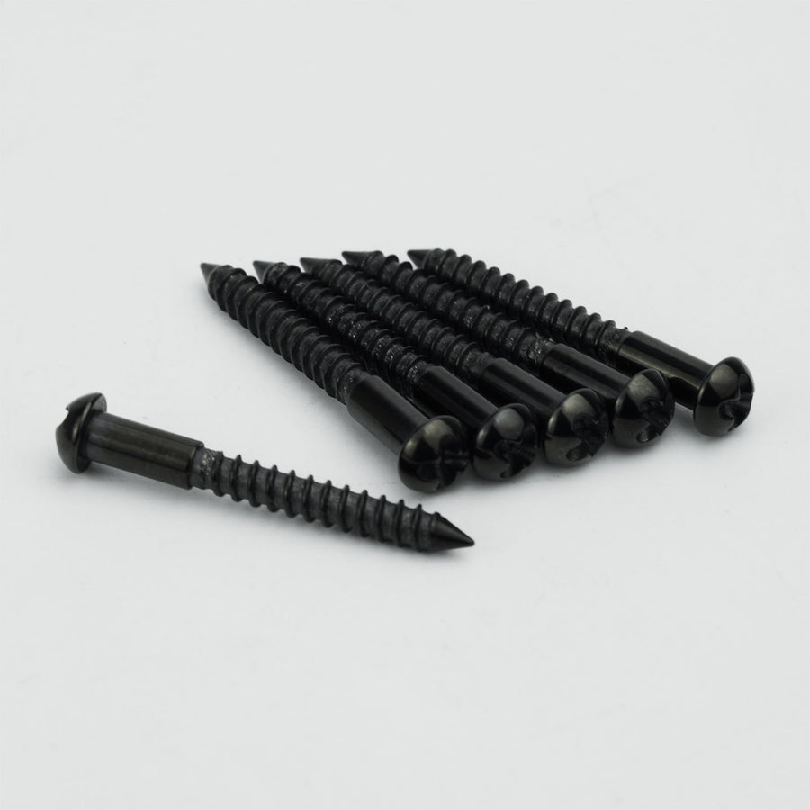 Guyker PRS Style Tremolo Bridge Screws Stainless Steel Set for Electric Guitar