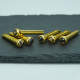 Guyker GX-002 Acoustic Guitar Bridge Pins with Gold Foil Pattern, view 2