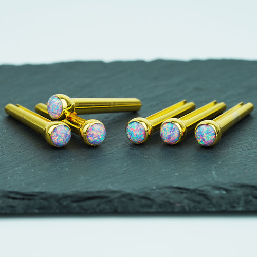 Guyker GX-010 Acoustic Guitar Bridge Pins with Colorful Chips