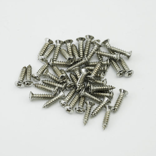 Guyker Pickguard Screws M2.9 x 12.5mm Stainless Steel Phillips Screws 50PCS for Guitar & Bass