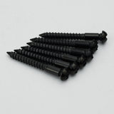 Guyker WR002 Tremolo Bridge Screws Stainless Steel Set for Electric Guitar, view 2