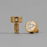 Guyker PRS-002 Guitar Tuning Machine Screw Star, view 6