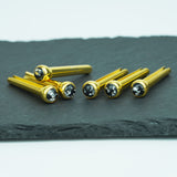 Ready to Ship (US) |Guyker GX-001 Acoustic Guitar Bridge Pins with  Silver Foil Pattern, view 2
