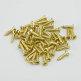 Ready to Ship (US) | Guyker Pickguard Screws M2.9 x 12.5mm Stainless Steel Phillips Screws 50PCS for Guitar & Bass, view 2