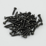 Ready to Ship (US) | Guyker Precision Steel Tuner Mounting Screws M2.2 x 10mm for Guitar Machine Heads, view 4