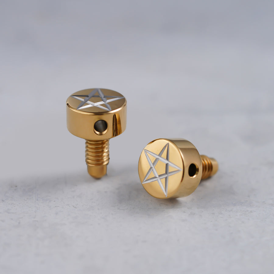Guyker Ready to Ship (US) |PRS-002 Guitar Tuning Machine Screw Star