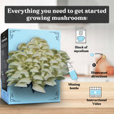 Hodgins Harvest 3-Pack of Organic Mushroom Grow Kits, view 3