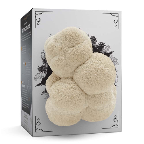 Hodgins Harvest Organic Lion's Mane Mushroom Grow Kit