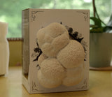 Hodgins Harvest Organic Lion's Mane Mushroom Grow Kit, view 4