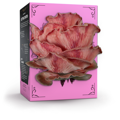 Hodgins Harvest Organic Pink Oyster Mushroom Grow Kit