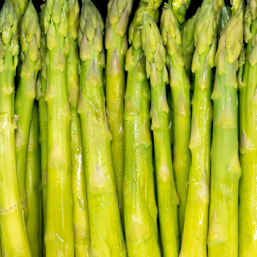 ICON Meals ASPARAGUS OZ