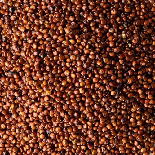 ICON Meals QUINOA OZ