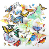 Let's Resin Realistic Paper Butterflies & Moths – 46 Pcs for Resin Crafts, view 2